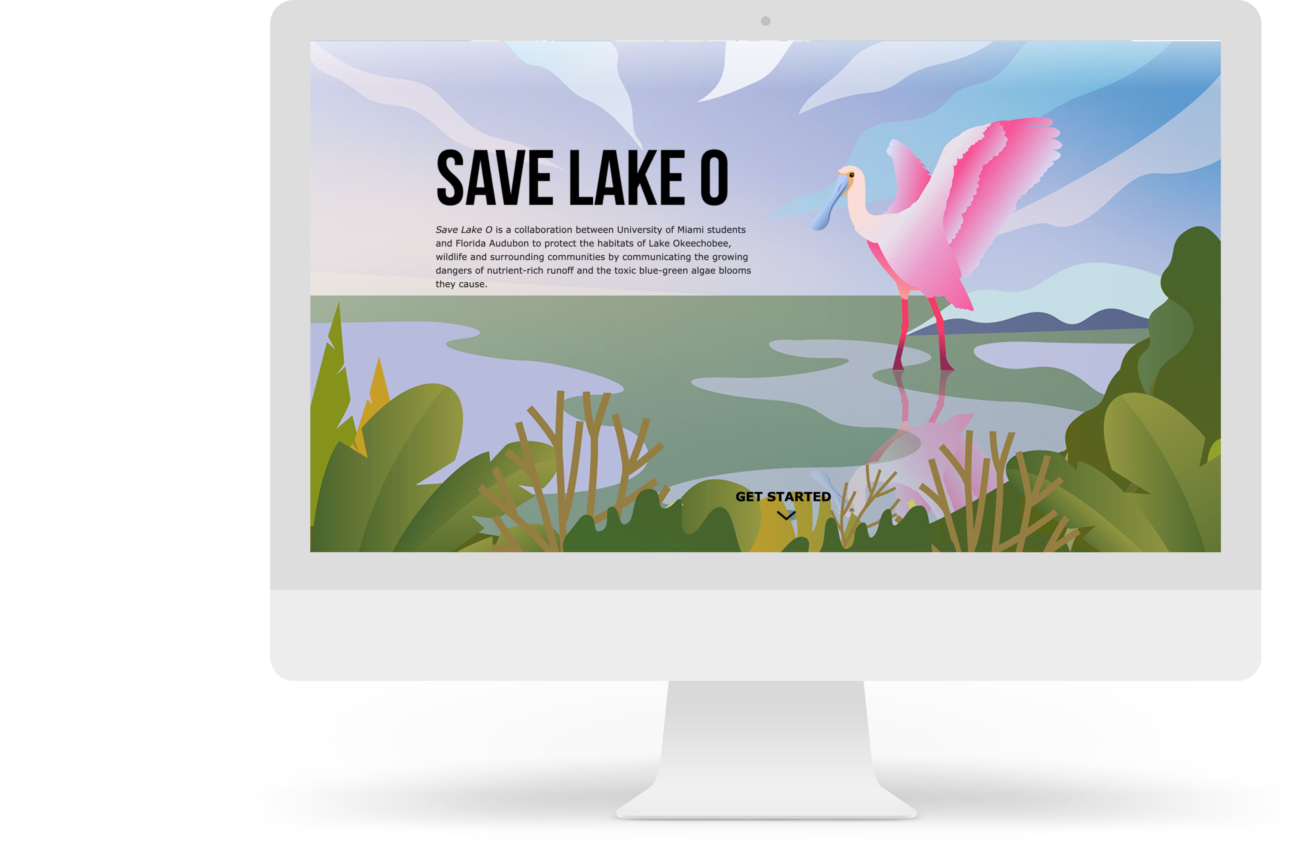 save-lake-o-preview